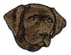 Brown Lab