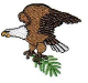 Eagle #106 