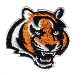 Tiger #107 