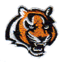 Tiger #107 
